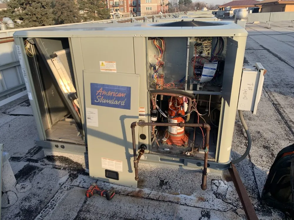 Slide of Magzimo Comfort