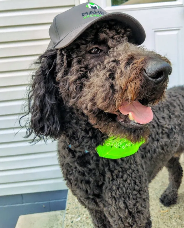 Slide of Maheu Mechanical