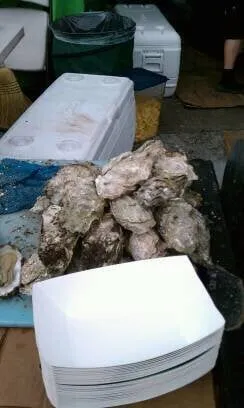 Slide of Mainstay Mechanical