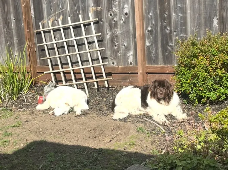 Slide of Maintech Service