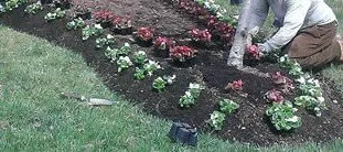 Slide of Maintenance Plus+