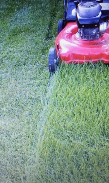 Slide of Maintenance Plus+