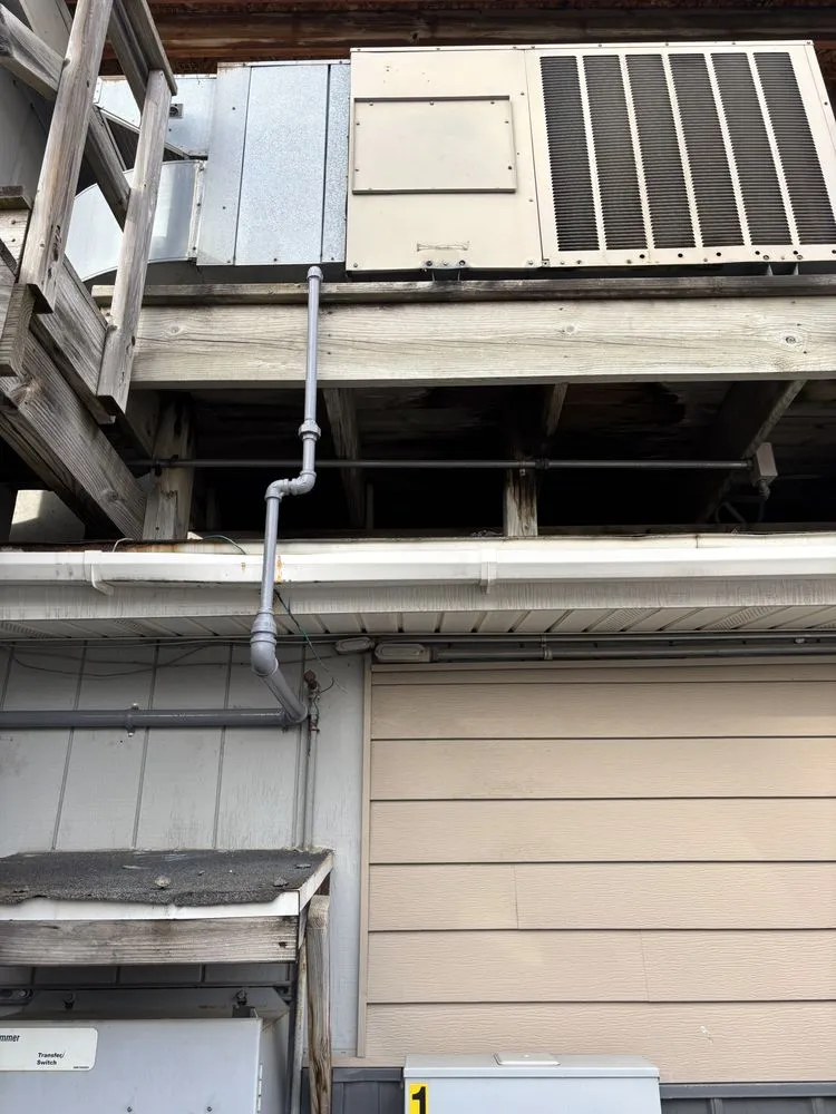 Slide of Mammoth Mechanical