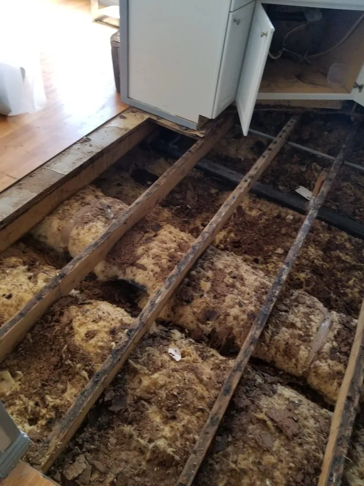 Slide of Mango Home Repair