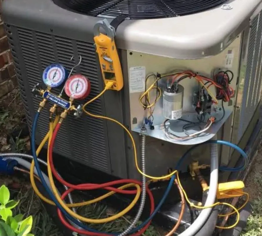 Slide of Manuel Hernandez