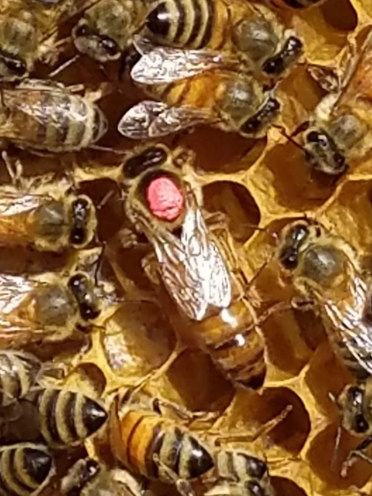 Slide of Marcus Heating & Air Conditioning