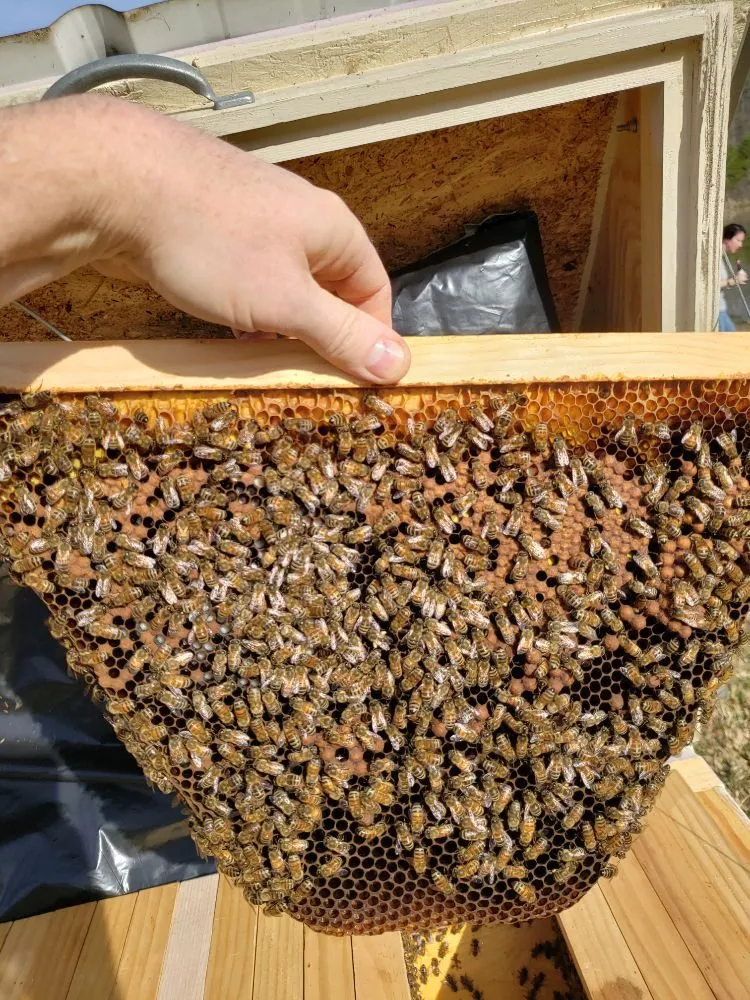 Slide of Marcus Heating & Air Conditioning