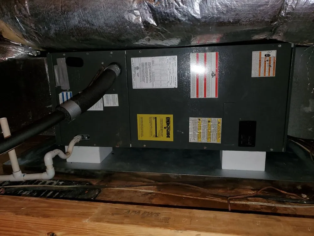 Slide of Marcus Thomas