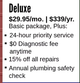 Slide of Mariano Mechanical