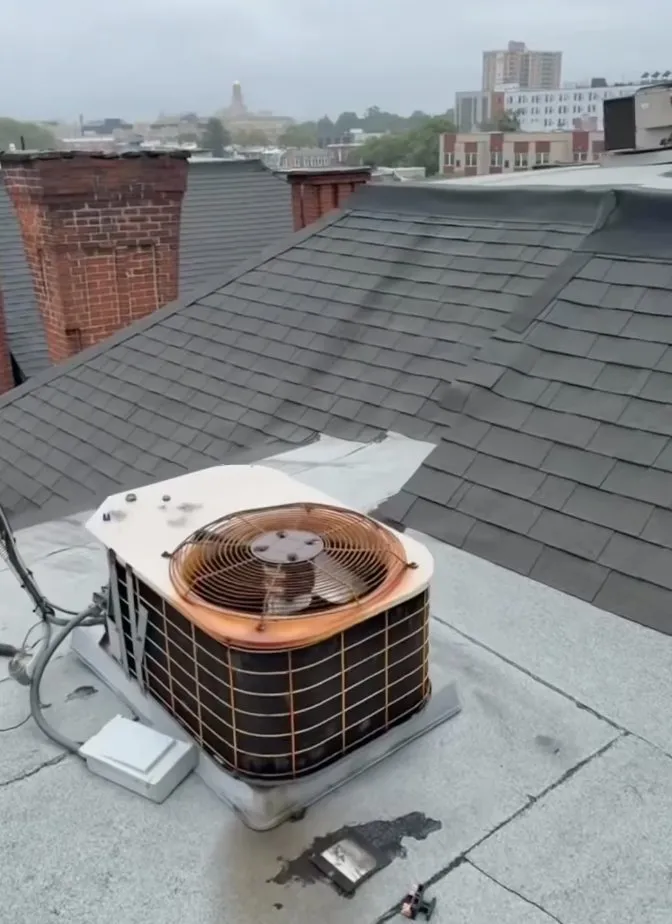 Slide of Mariano Mechanical