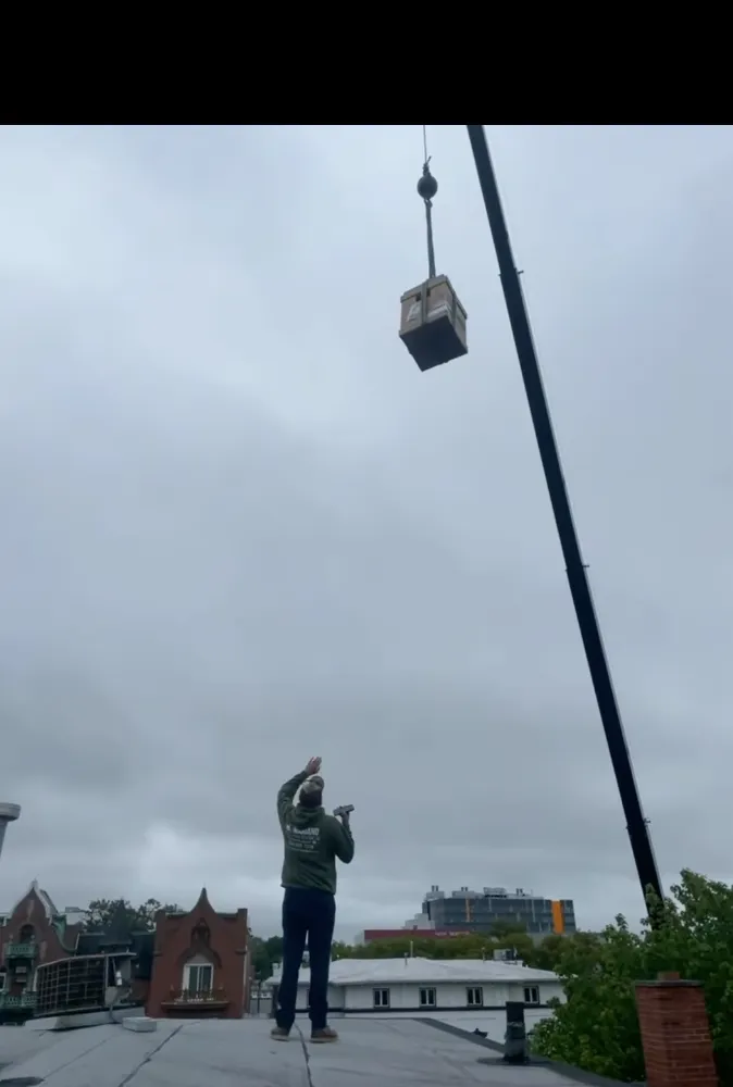 Slide of Mariano Mechanical