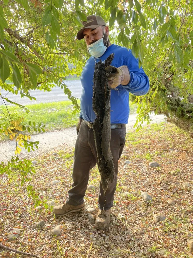 Slide of Mario's Plumbing And Drains