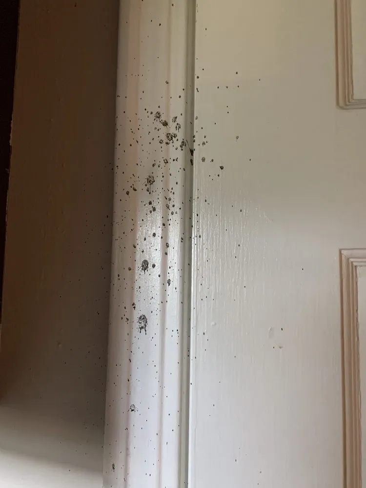 Slide of Mark Allen Service Experts