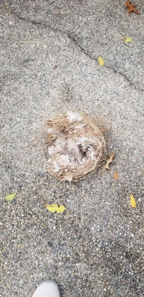 Slide of Martin Mechanical Heating and Cooling