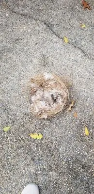 Martin Mechanical Heating and Cooling Logo