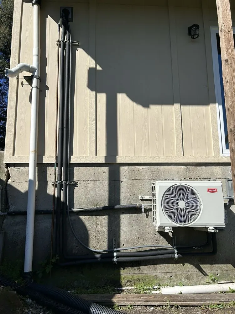 Slide of Martinico and Sons