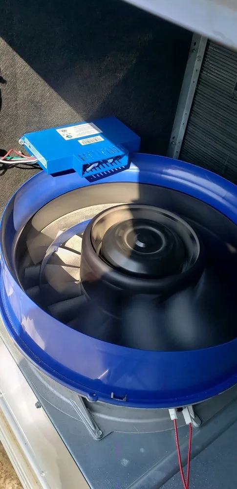 Slide of Martinico and Sons