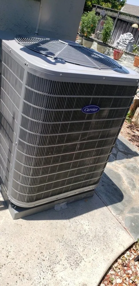 Slide of Martinico and Sons