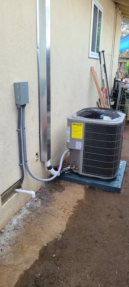 Slide of Martinico and Sons