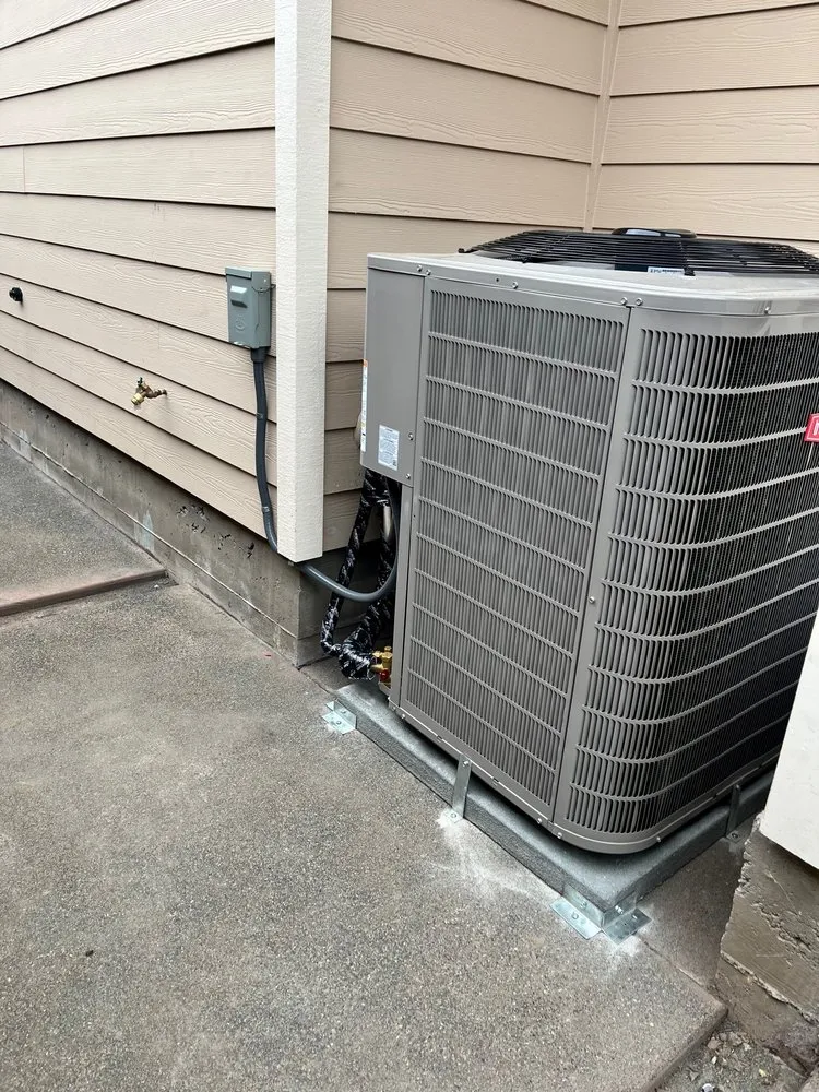 Slide of Martinico and Sons