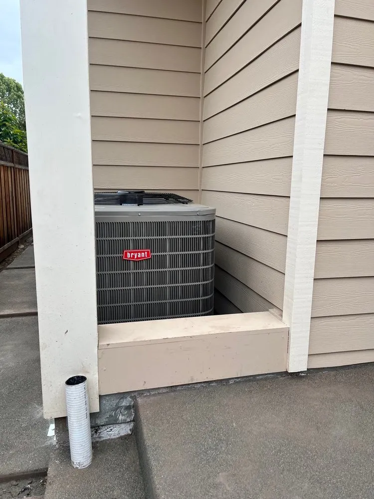 Slide of Martinico and Sons