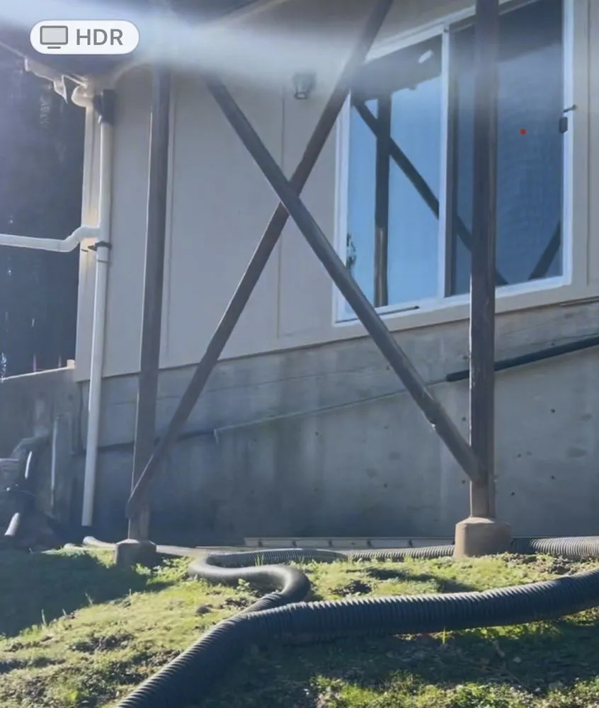 Slide of Martinico and Sons