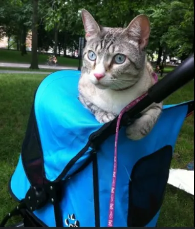 Slide of Marty's Air Conditioning and Heating