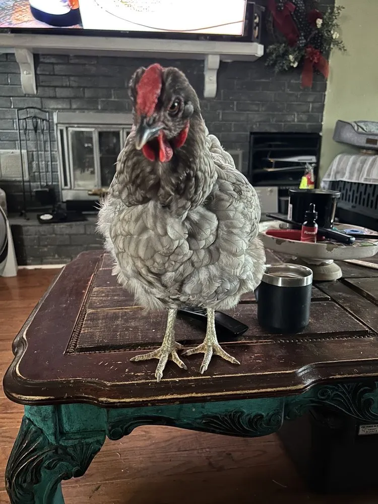 Slide of Marv's Plumbing & Heating