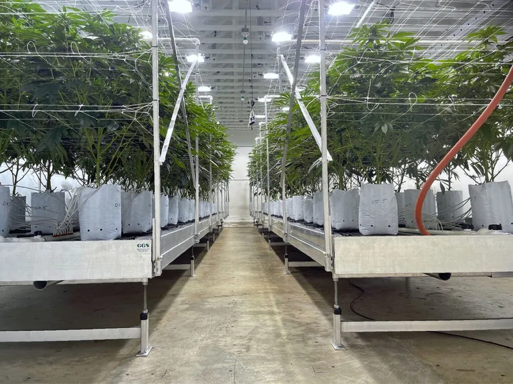 Slide of Mash Mechanical