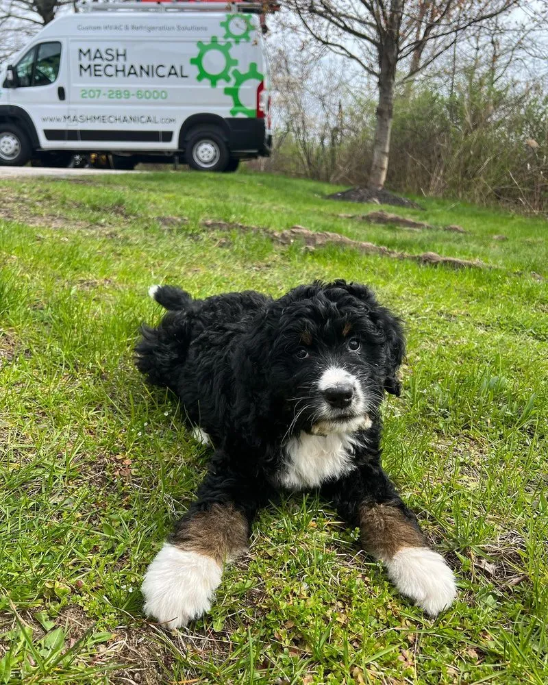 Slide of Mash Mechanical