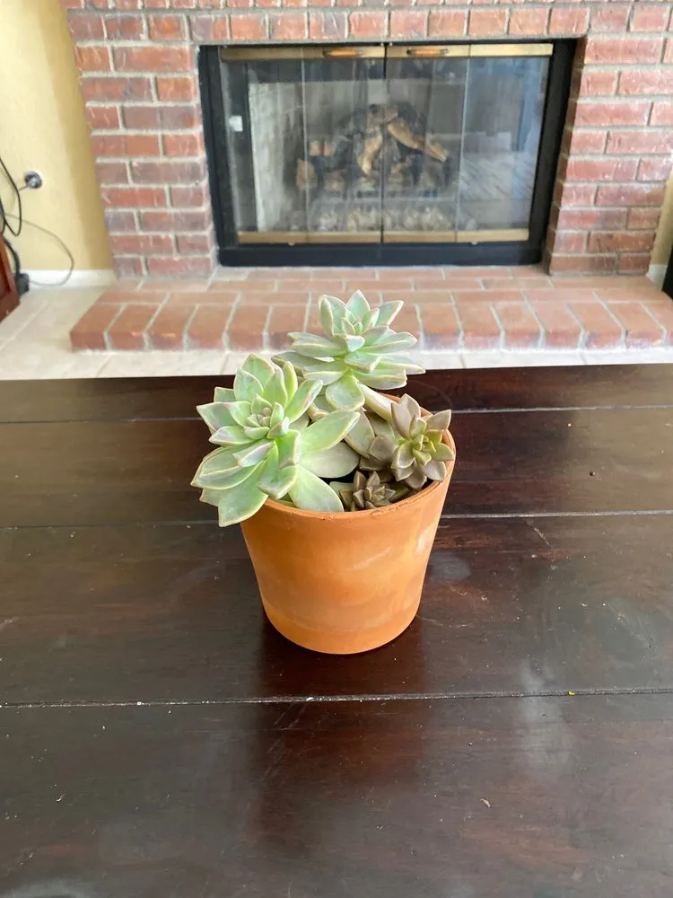 Slide of Mason Air Systems