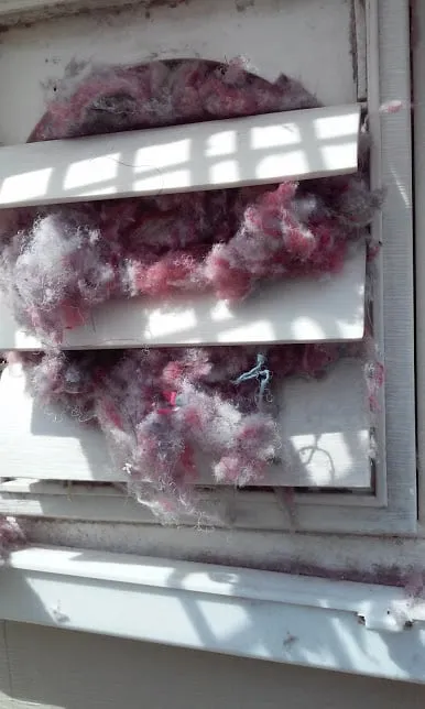 Slide of Massey & Woods Breathe Easy