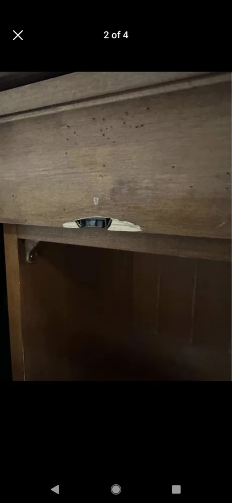 Slide of Massey's Maintenance