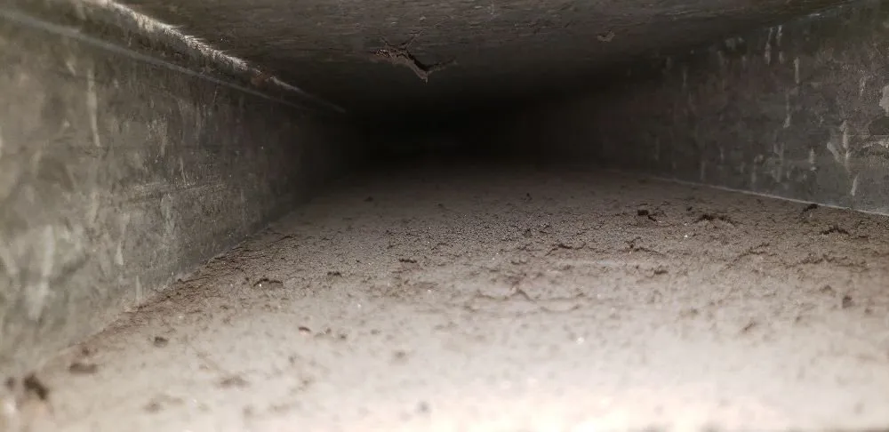 Slide of Master Duct