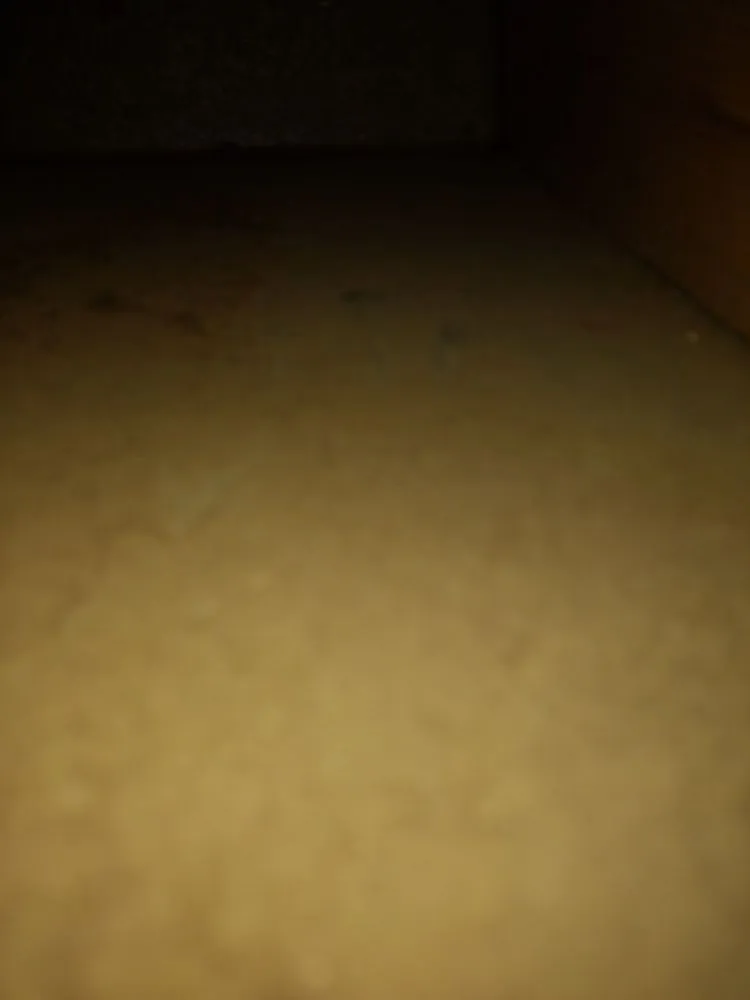 Slide of Master Duct