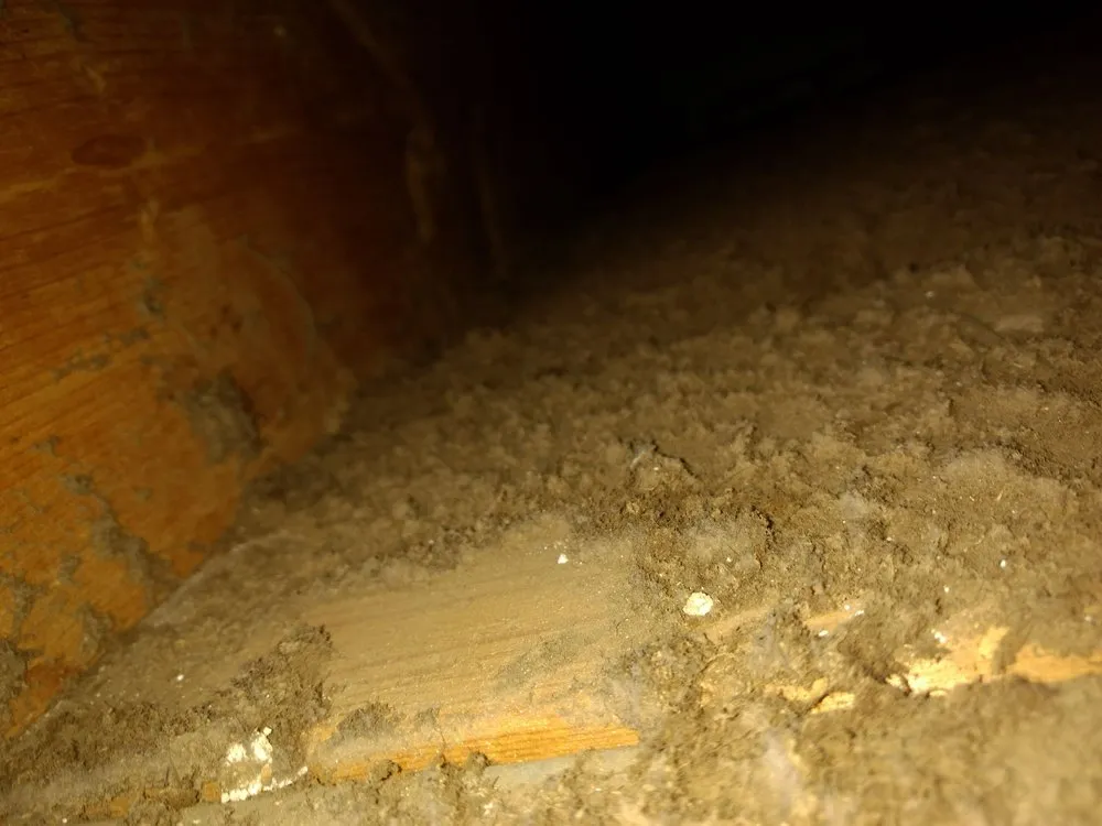 Slide of Master Duct