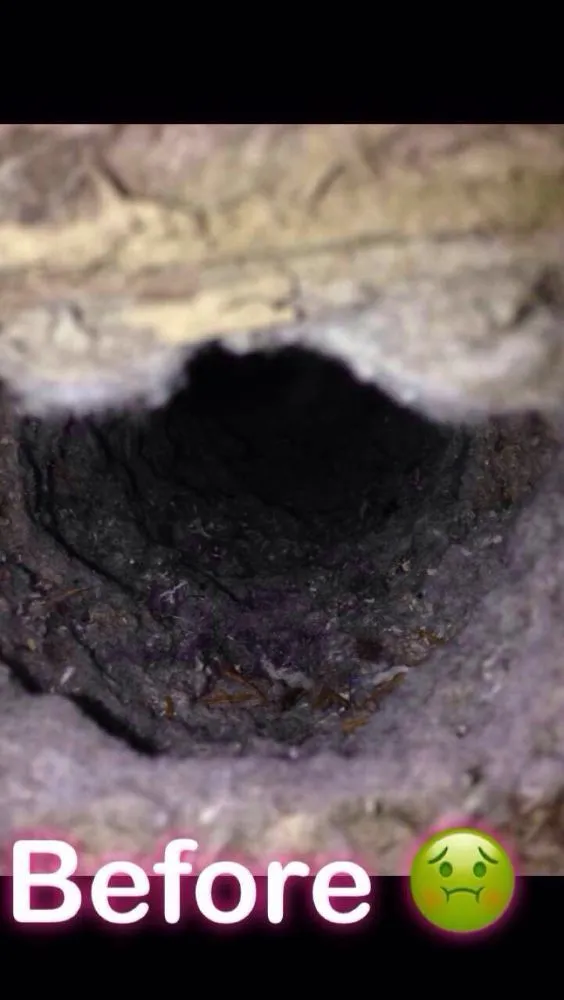 Slide of Master Duct