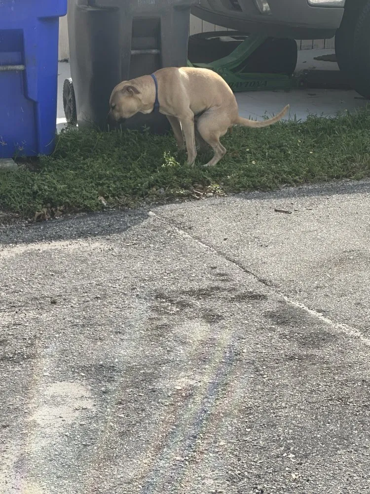 Slide of Master Home Services