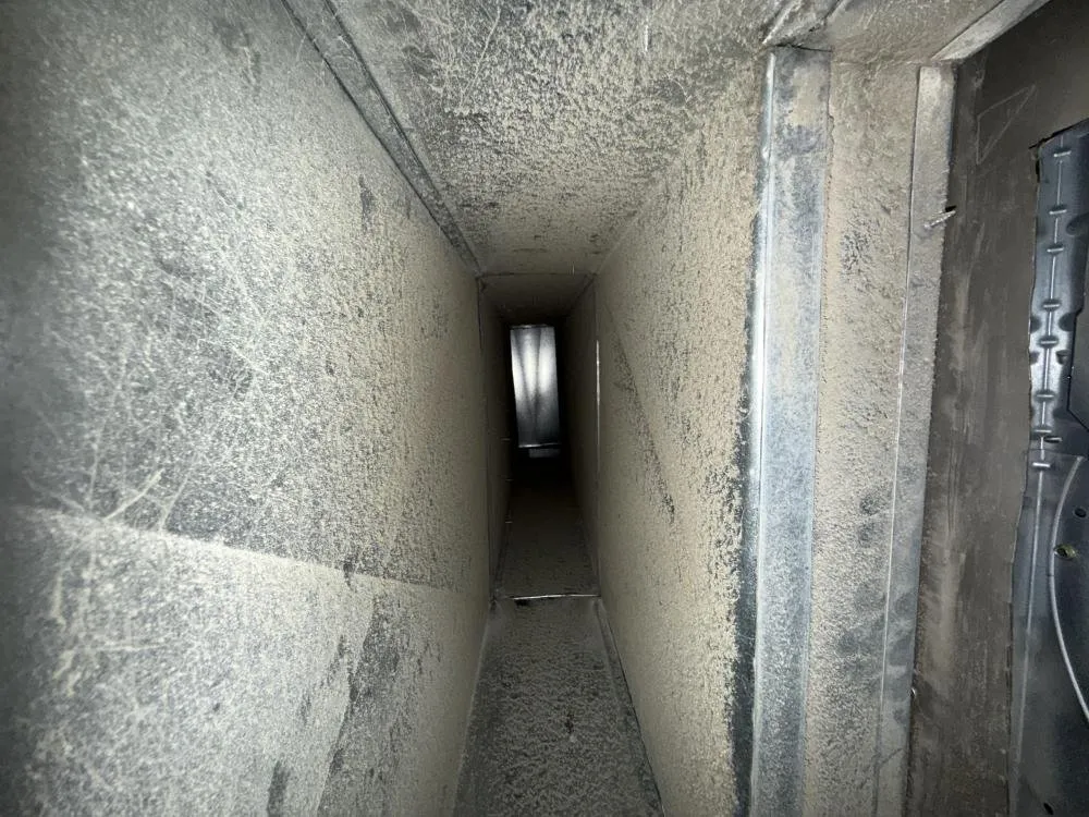 Slide of Master Services