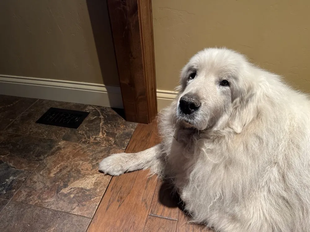 Slide of Mauzy Cooling, Heating, Plumbing, and Electrical