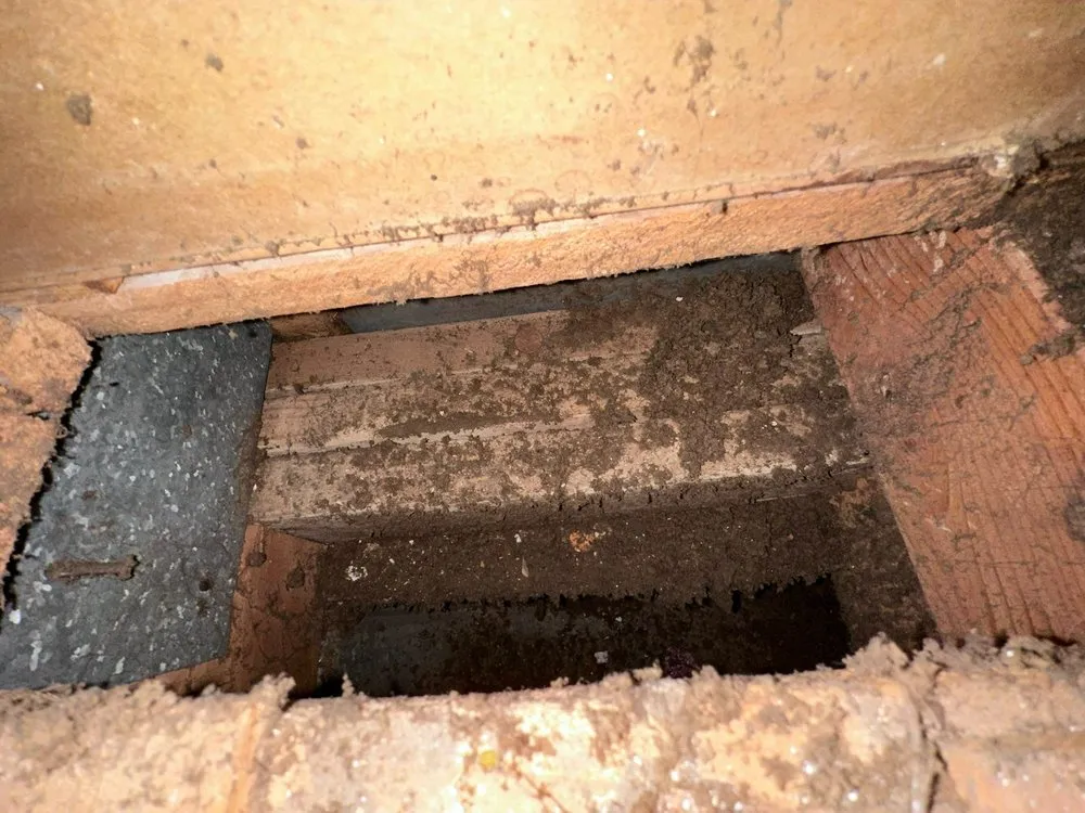 Slide of Maven Air Care