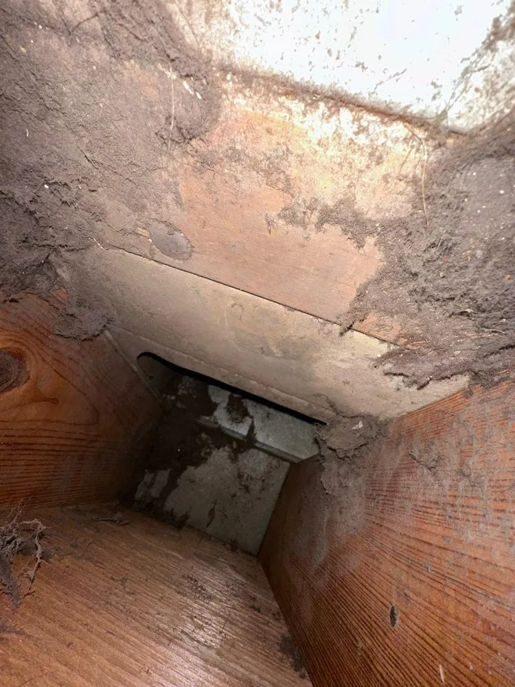 Slide of Maven Air Care