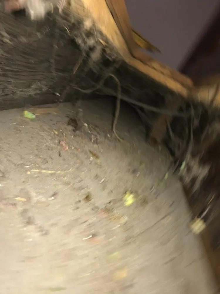 Slide of Maven Air Care