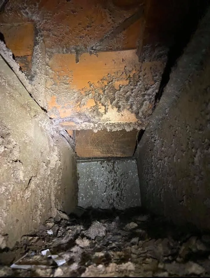 Slide of Maven Air Care