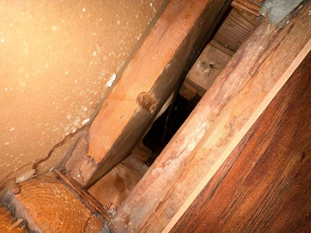 Slide of Maven Air Care