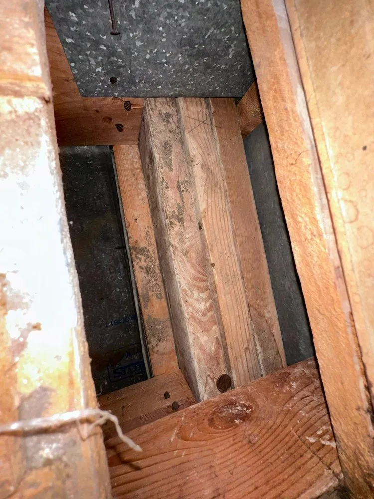 Slide of Maven Air Care