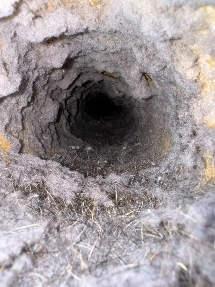 Slide of Maven Air Care