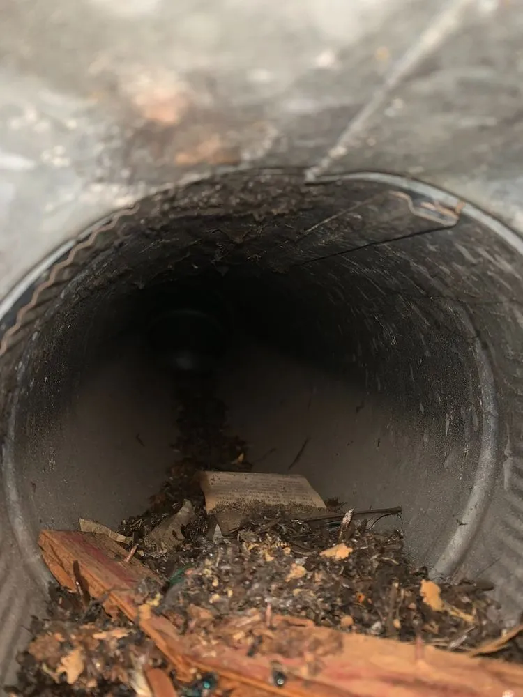 Slide of Maven Air Care