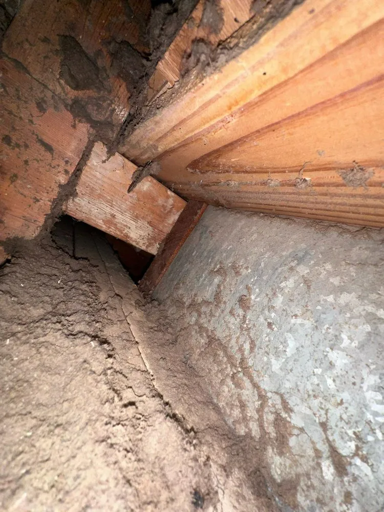 Slide of Maven Air Care