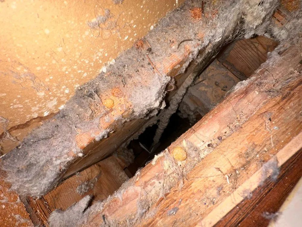 Slide of Maven Air Care